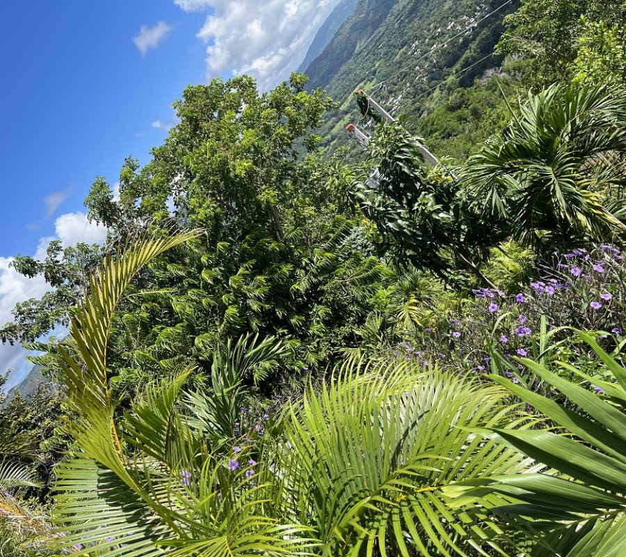 Villa Matua (10)