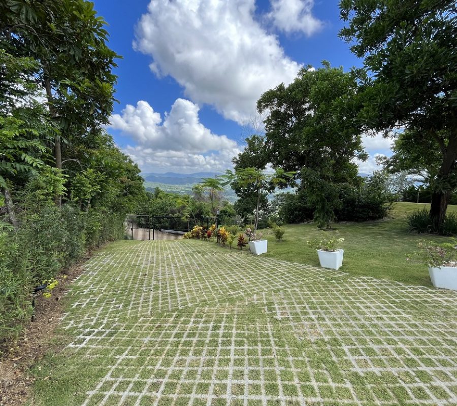 Villa Matua (14)
