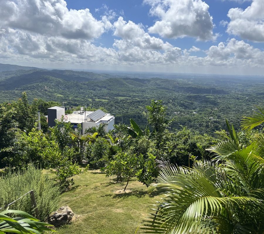 Villa Matua (9)